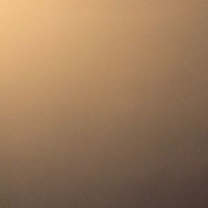 Meet your Posher, Julianne